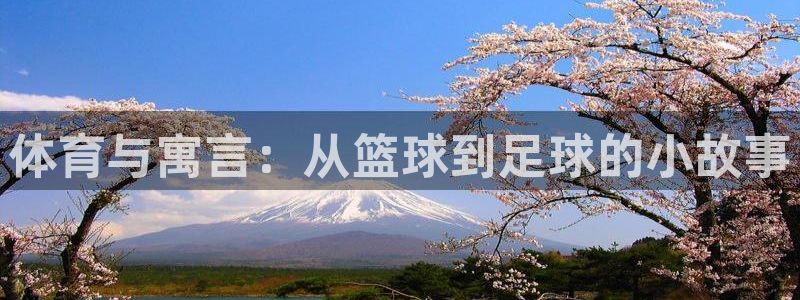 01体育直播免费下载：体育与寓言：从篮球到足球的小故事