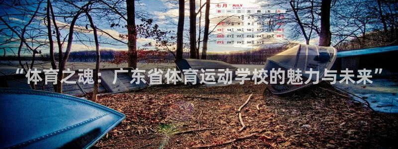 01体育直播官网入口：“体育之魂：广东省体育运动学校的魅力与未来”