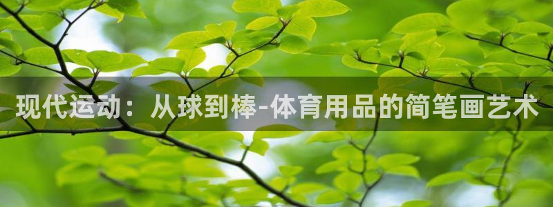 01体育在线直播：现代运动：从球到棒-体育用品的简笔画艺术