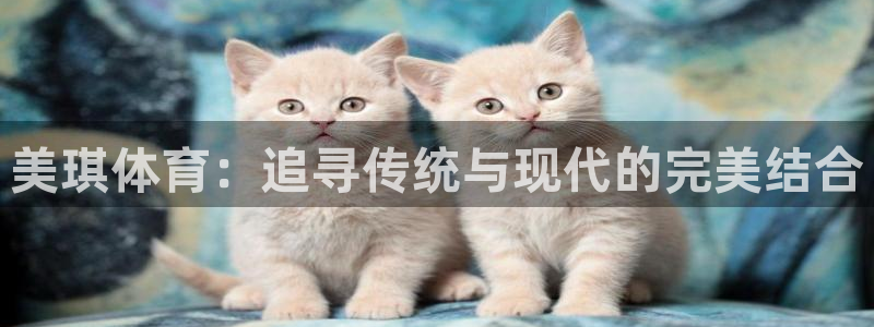 01体育直播：美琪体育：追寻传统与现代的完美结合