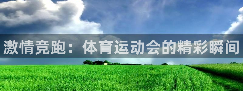 01体育直播官网入口：激情竞跑：体育运动会的精彩瞬间